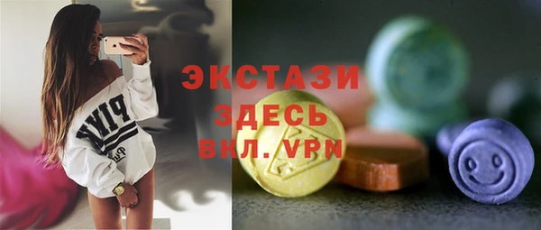 молекула духа Вяземский