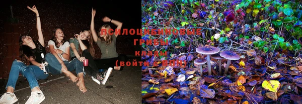 прущая мука Сатка
