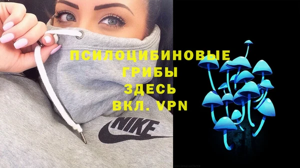 бошки Володарск